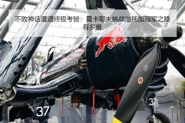 不败神话遭遇终极考验：莫卡耶夫挑战潘托加冠军之路有多难